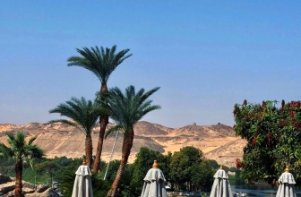 埃及🇪🇬阿斯旺！钱花的最值的一笔！