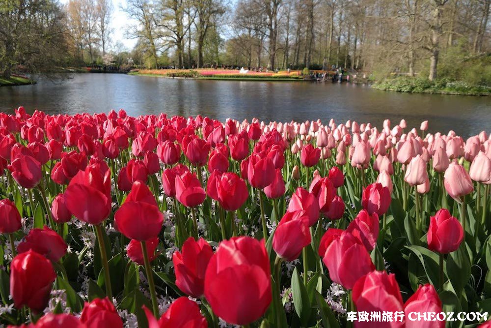 Keukenhof-foto-kleurrijke-tuinen-8.jpg