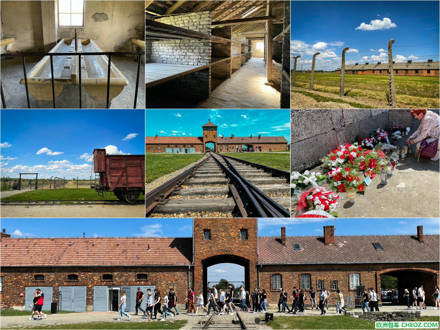 Collage_Fotor20P06.jpg
